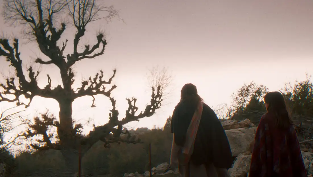 'Balinanın Bilgisi' Fethiye’de 13 Şubat'ta gösterime giriyor