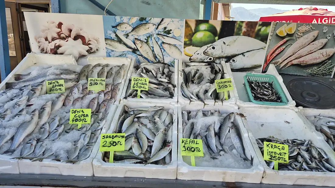 Fethiye Patlangıç Pazarı’nda taze balık keyfi