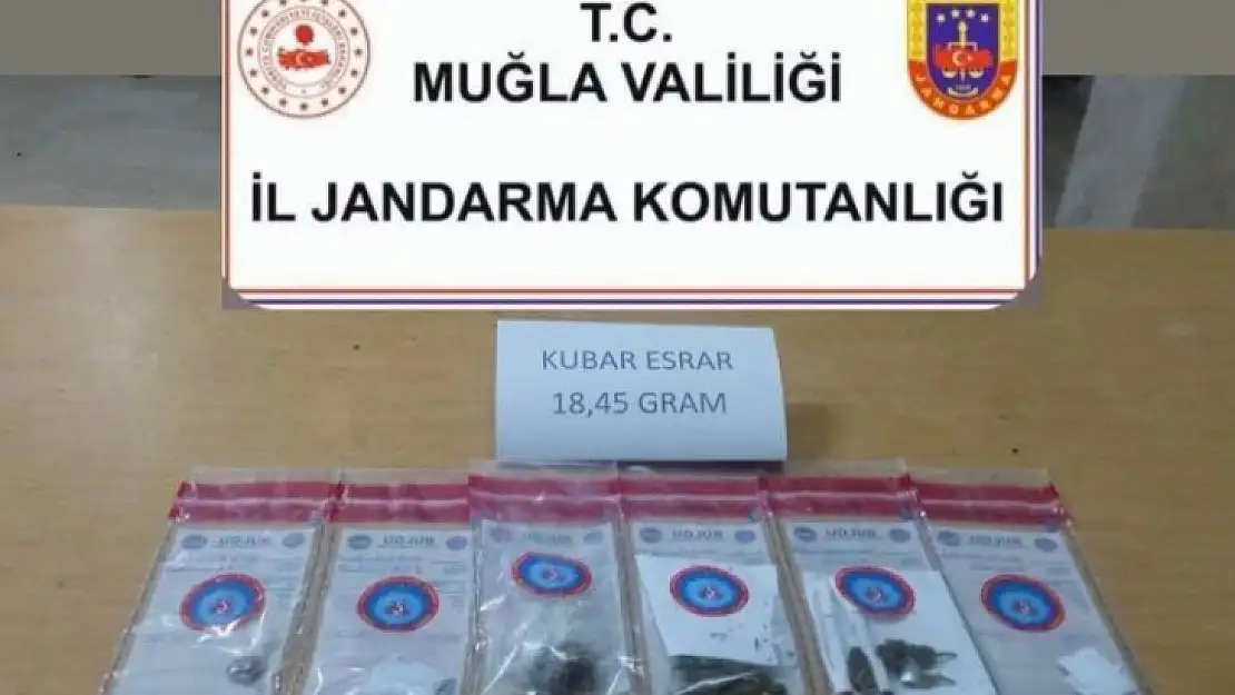 27 şüpheli şahıs yakalandı