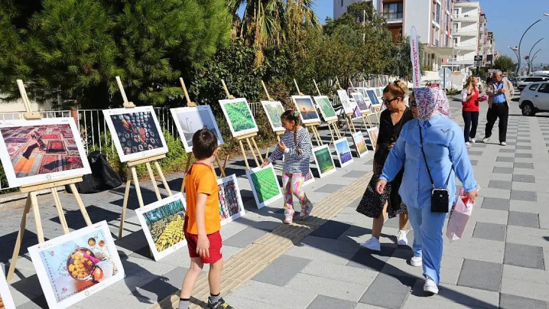 8 eser ile 120 fotoğraf, fotoğraf severlerin beğenisinde