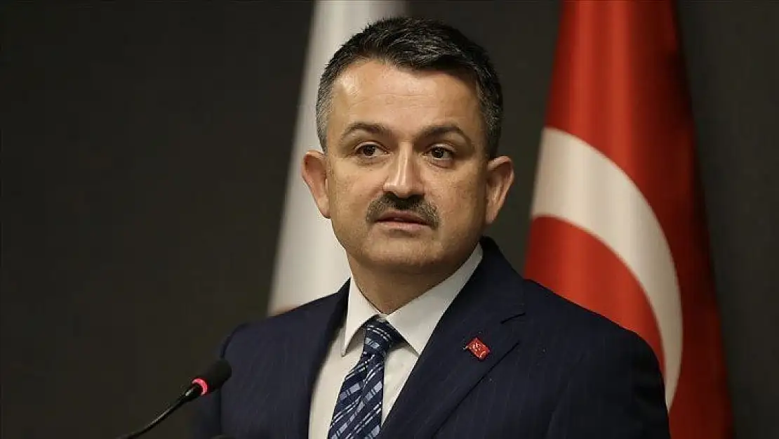 Bakan Pakdemirli: 'Muğla Köyceğiz yangını kontrol altına alındı'