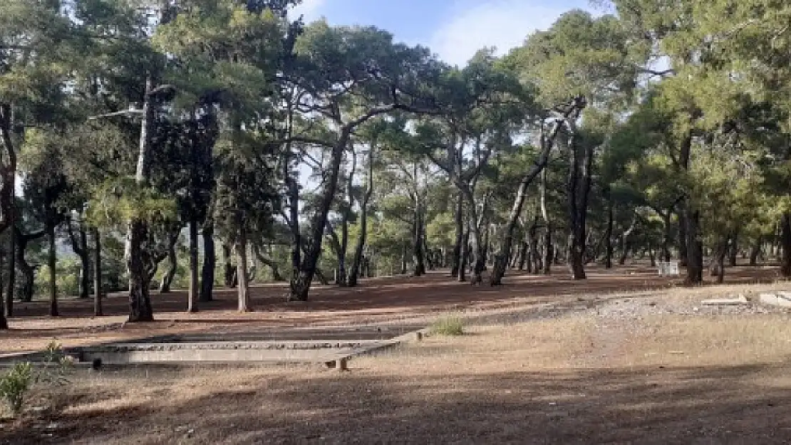 Başkan Karaca, Fethiye Belediyesi'nin Kazandığı Değirmenbaşı Piknik Alanı İhalesini Değerlendirdi