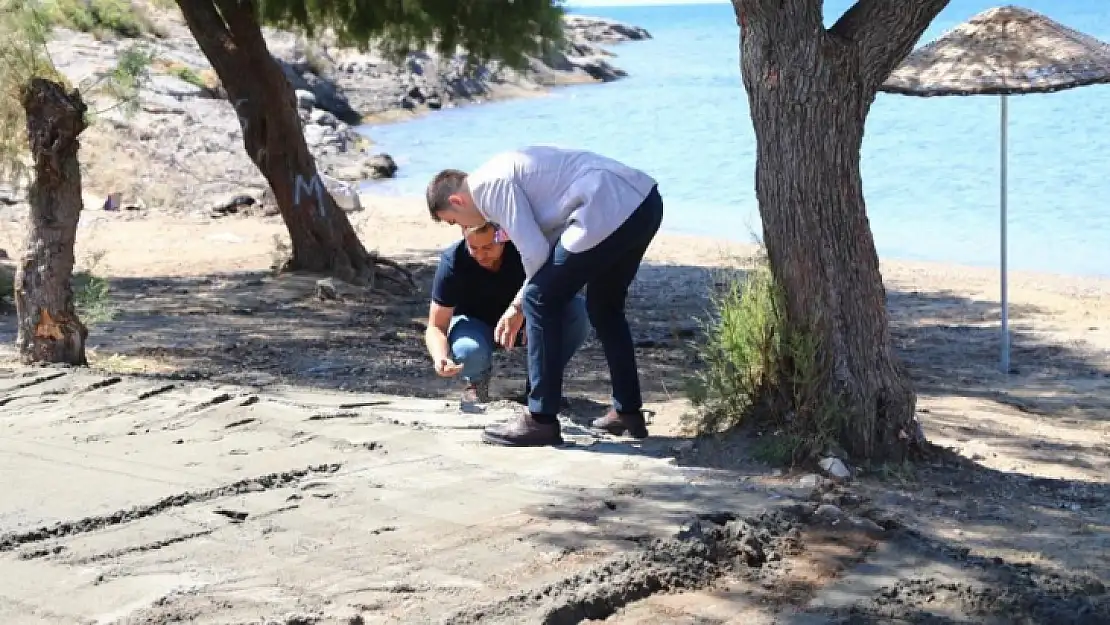 Belediyeden plajlarda temizlik ve düzenleme çalışması