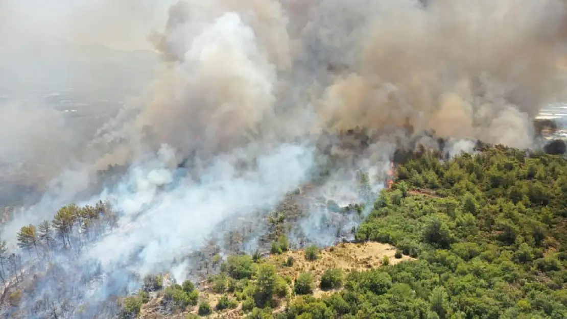 Beşkaza Yangınlara Karşı Tek Yürek!