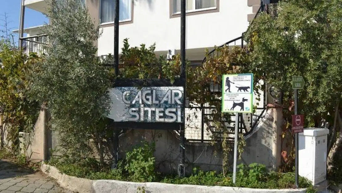 Birbirlerinden şikayetçi oldular