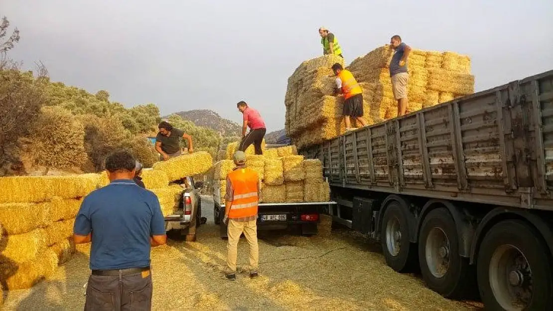 Bodrum Belediyesi yangın mağdurlarına destek olmaya devam ediyor