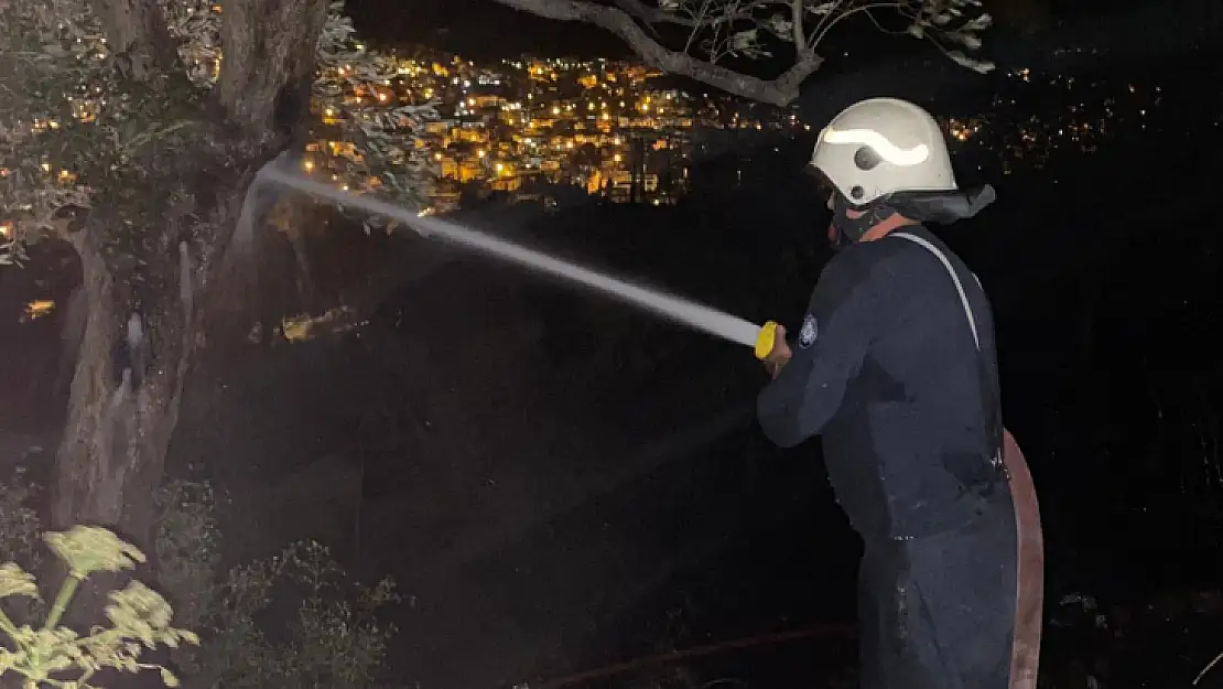 Bodrum'da ağaçlık alanda yangın çıktı