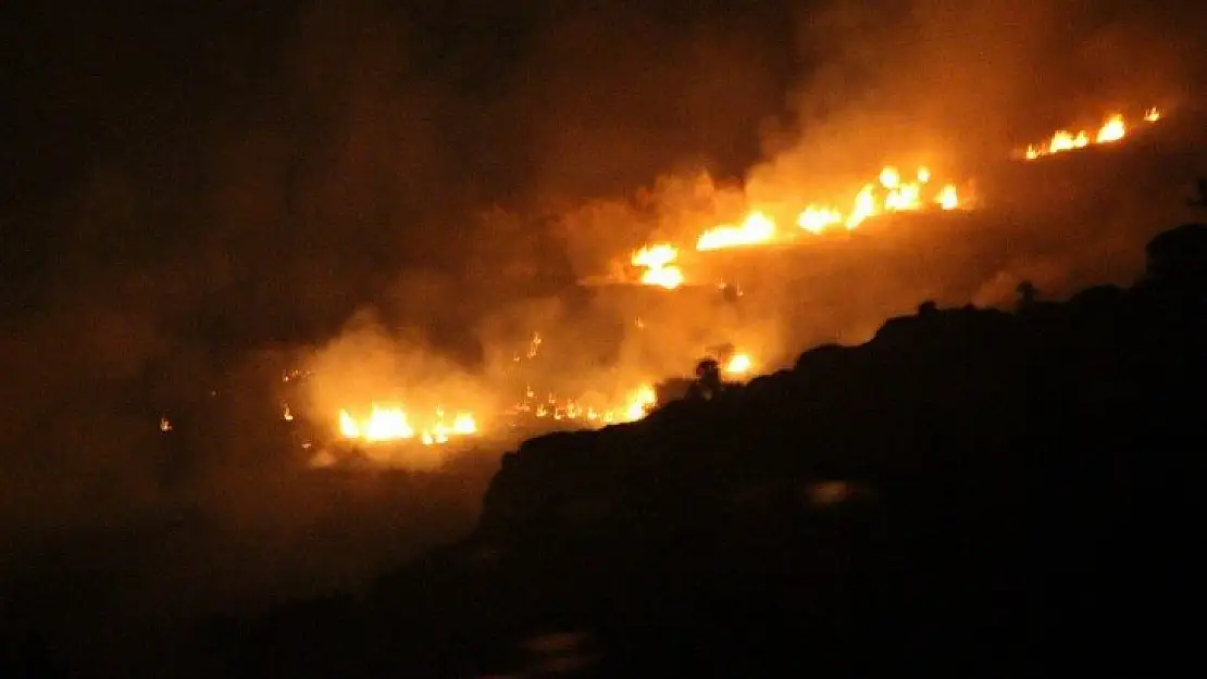 Bodrum'da çıkan yangın evlere ulaşmadan kontrol altına alındı