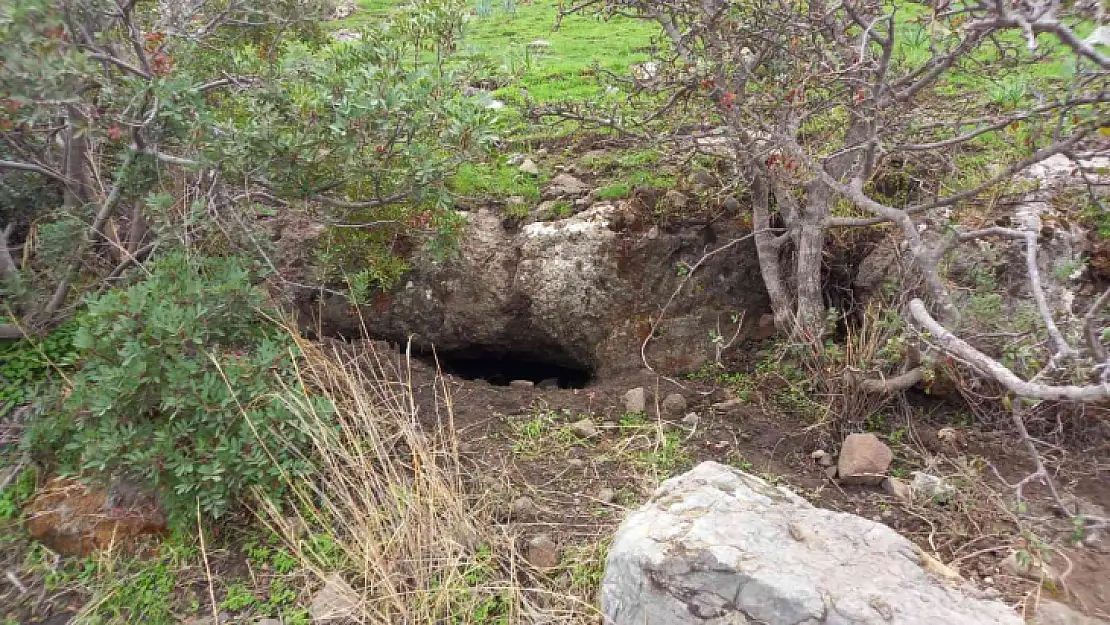 BODRUM'DA KAÇAK KAZIYA BASKIN: 2 GÖZALTI