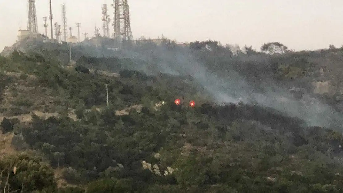 Bodrum'da makilik alanda yangın