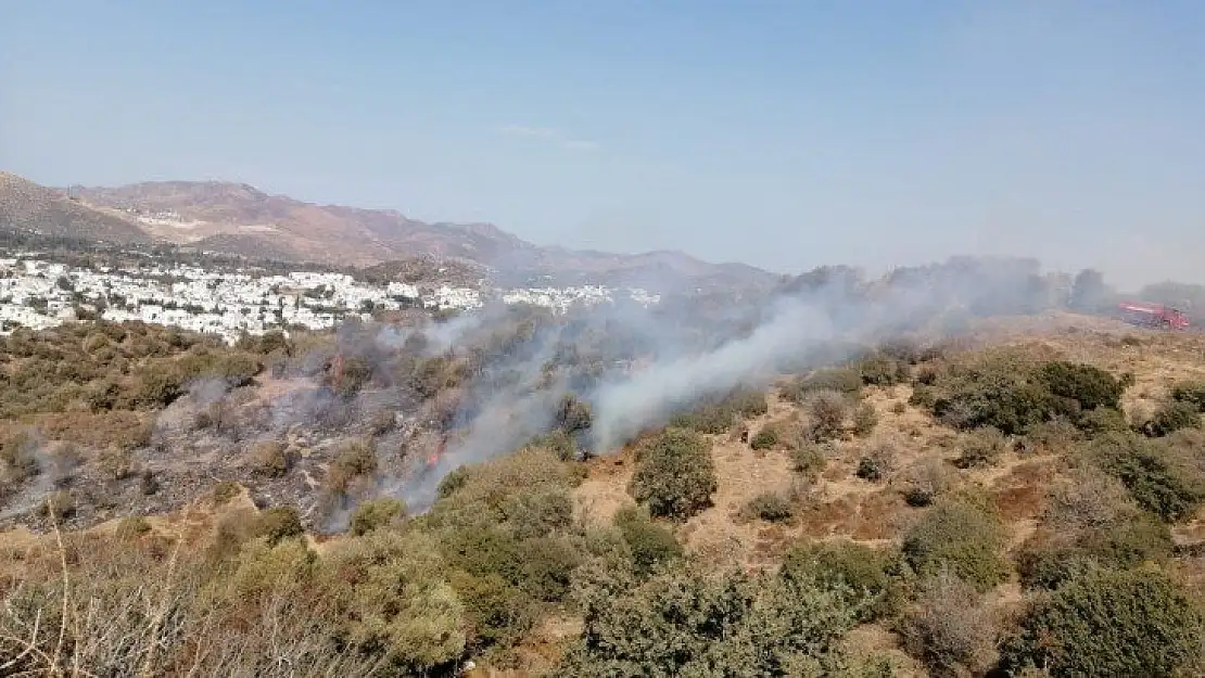 Bodrum'da makilik yangını