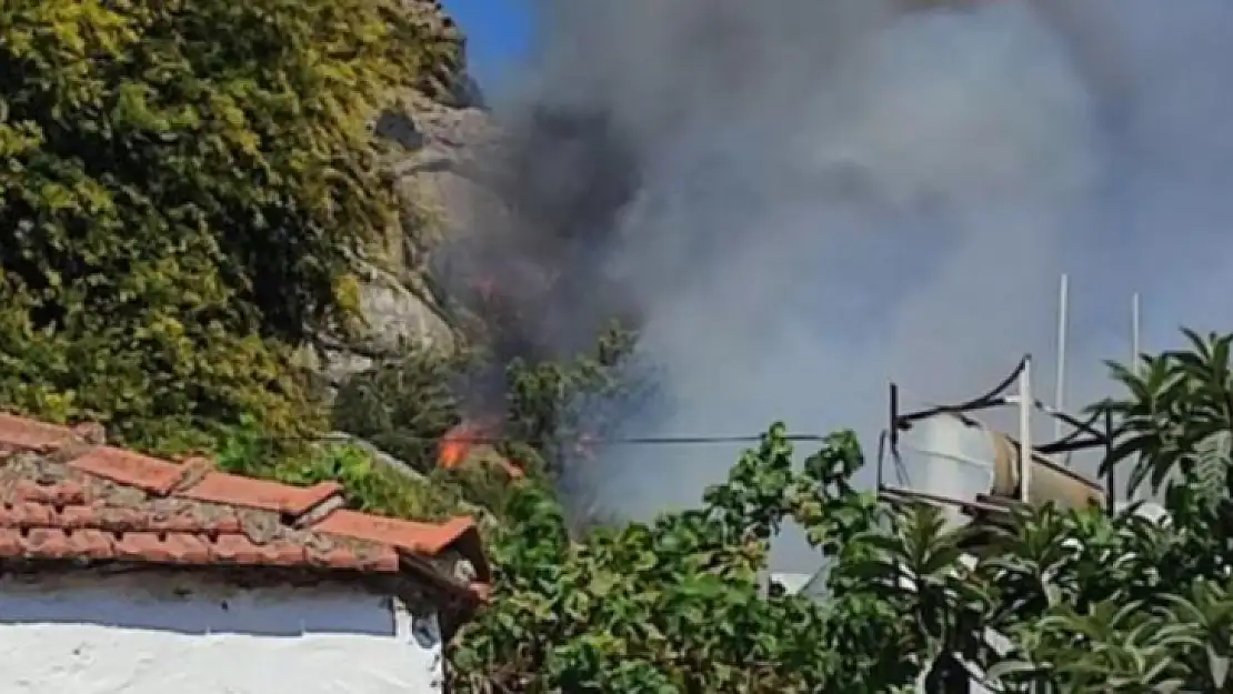 Bodrum'da makilik yangını