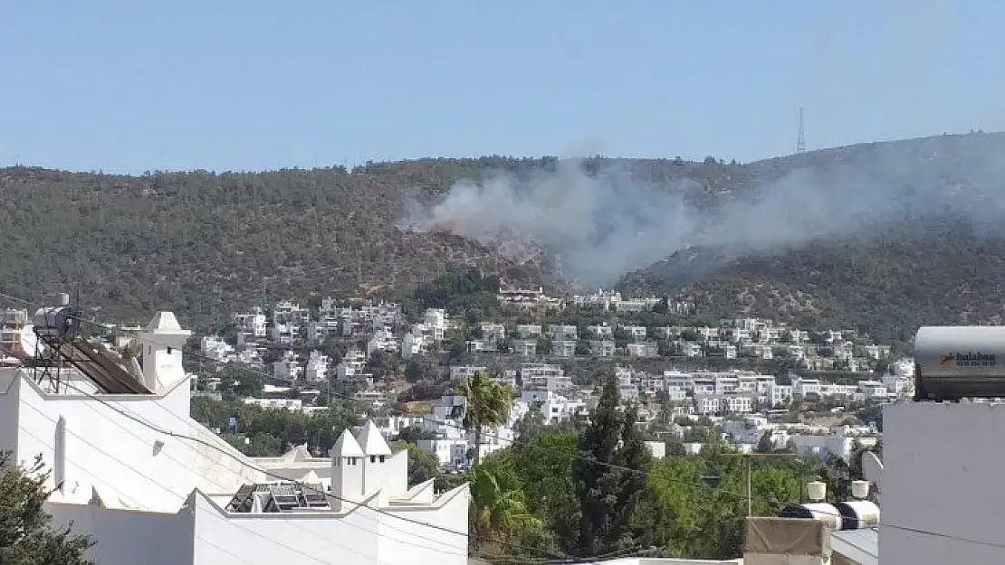 Bodrum'da orman yangını