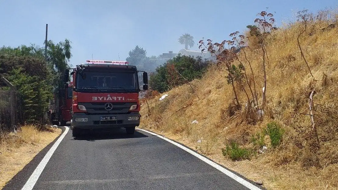 Bodrum'da otluk ve makilik alanda yangın çıktı