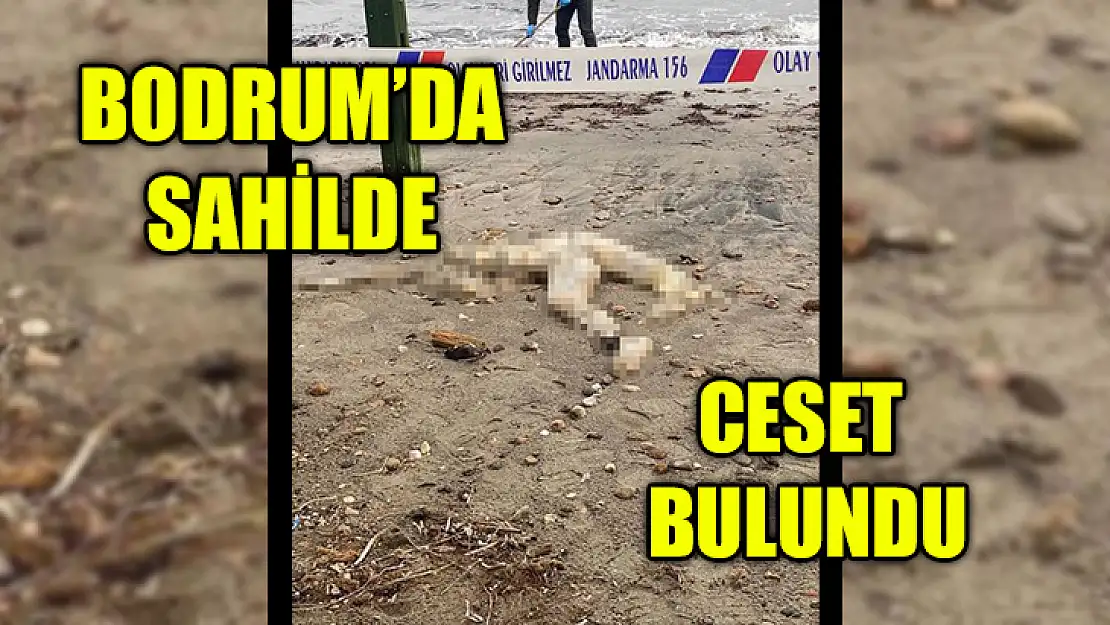 Bodrum'da Sahilde Ceset Bulundu