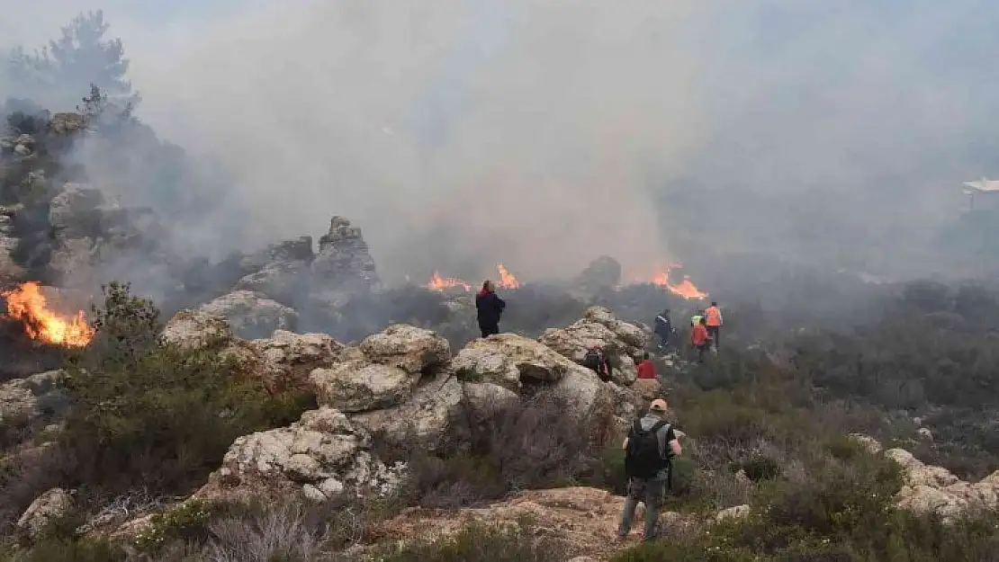 Bodrum'daki orman yangını 6 saat sonunda kontrol altına alındı