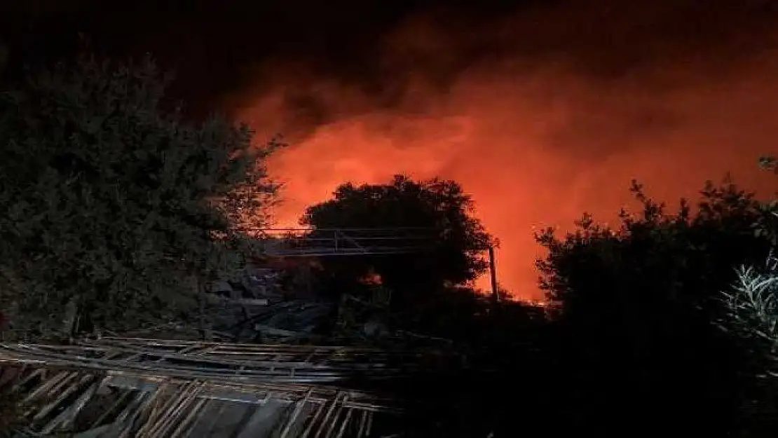 Bodrum'daki yangın fırtınaya rağmen kısa sürede söndürüldü