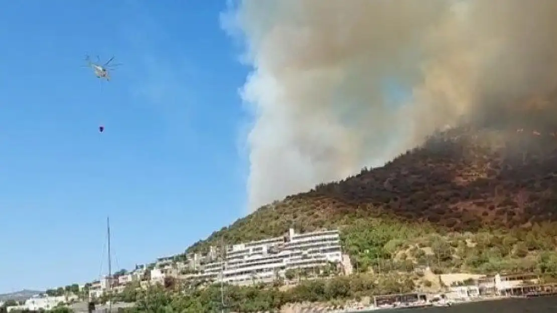 Bodrum'daki yangın kısa sürede büyüdü, mahallenin boşaltılması için anons yapılıyor