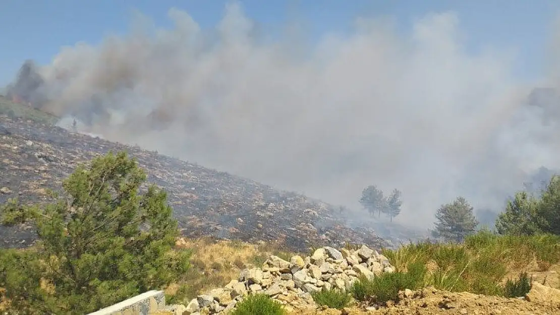 Bodrum'daki yangına havadan ve karadan müdahale ediliyor