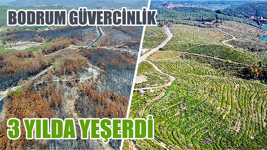 Bodrum Güvercinlik 3 Yılda Yeşerdi