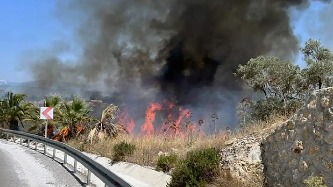 Bodrum Havalimanı kavşağında yangın