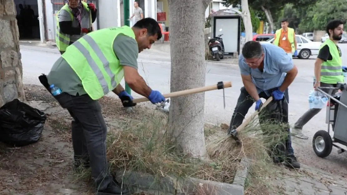 Bodrum'u cadde, sokak gezerek temizlediler