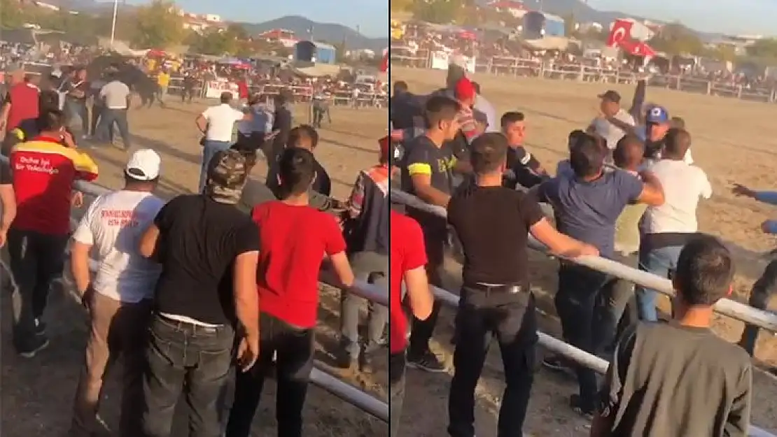 Boğa Güreşinde tekme ve yumruklar havada uçuştu