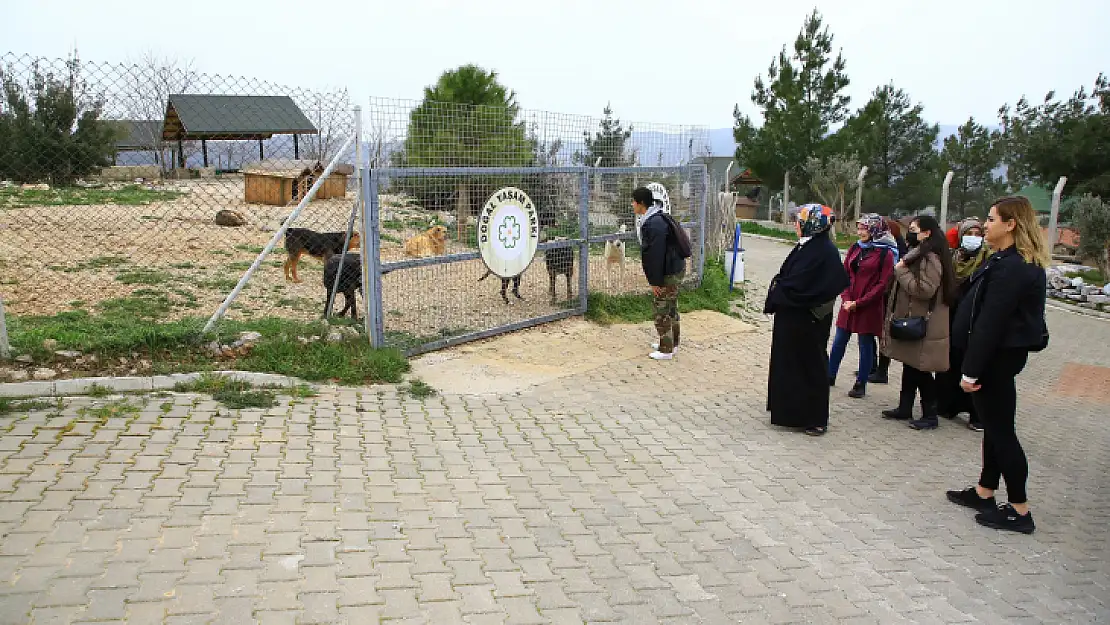 Büyükşehir Geçici Hayvan Bakımevi'ne Ziyaretçi Akını