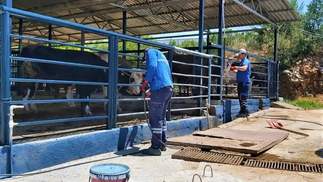 Büyükşehir Mezbahaları ile Kurban Bayramı'na hazır