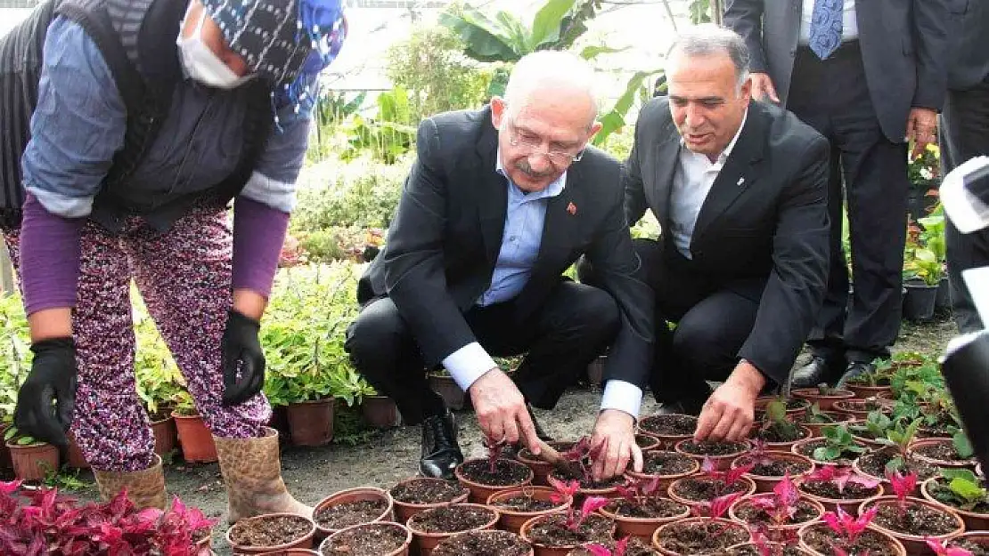 CHP Genel Başkanı Kılıçdaroğlu kadınlarla çiçek dikti