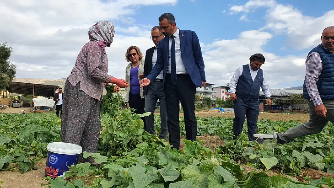 CHP'li Erbay: 'Tarım Bakan'ı çiftçiyi anladı ama yanlış anladı'