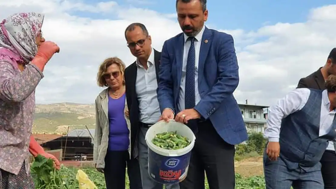 Chp'li Erbay: Yurttaşların Ucuz Gıdaya Ulaşabilmesi İçin Çiftçinin Girdi Maliyetleri Düşürülmeli