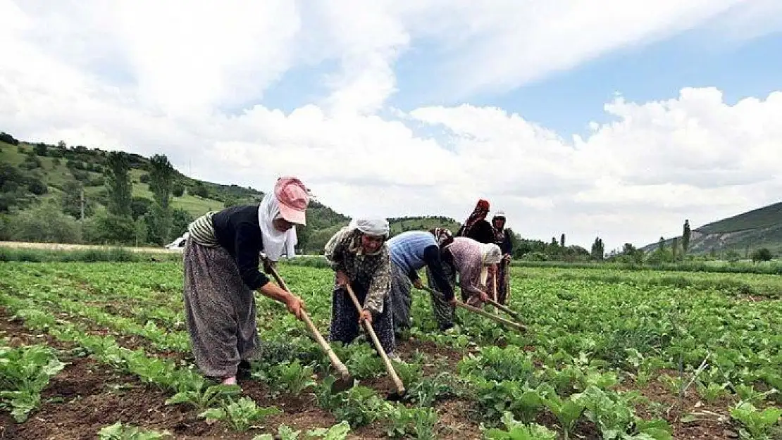 Çiftçi ve yetiştiriciye ödemeler bugün başlıyor