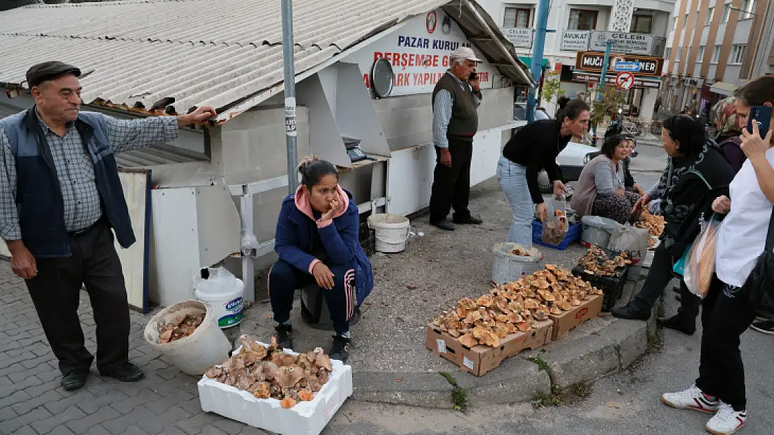 Çıntar bolluğu satıcıların yüzünü güldürdü