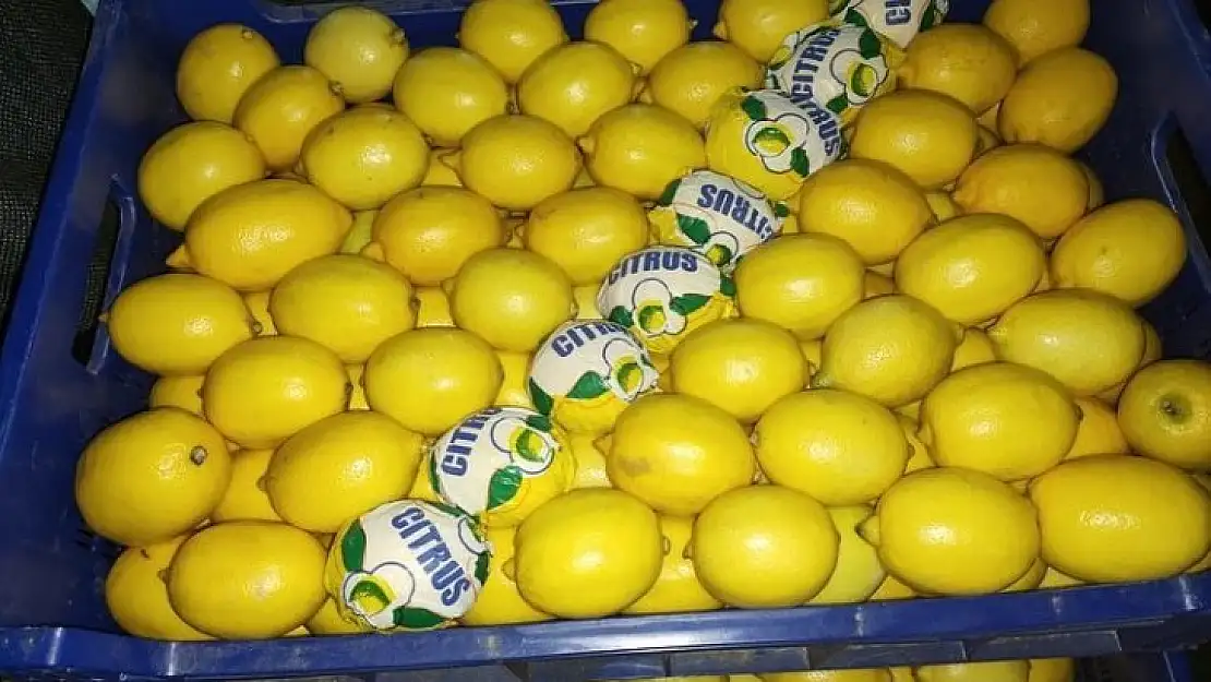 Dalaman Limonu, İstanbul'da Komisyonsuz Satılacak