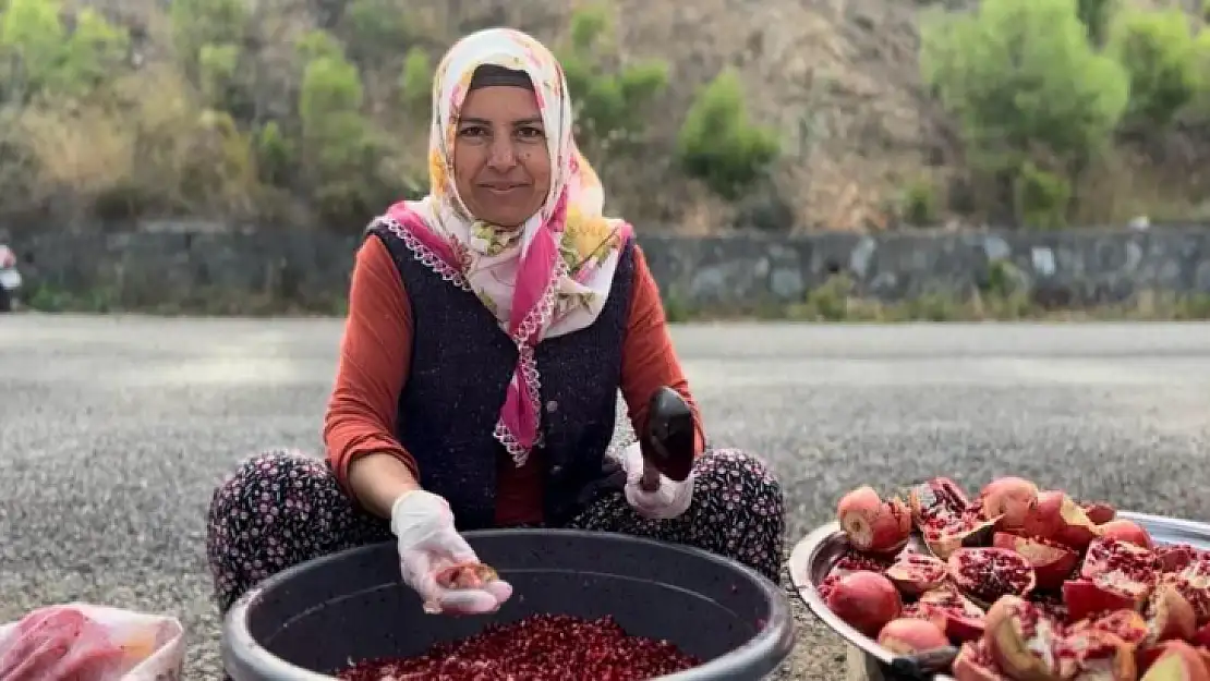 Daldan sofraya ekşi yolculuk