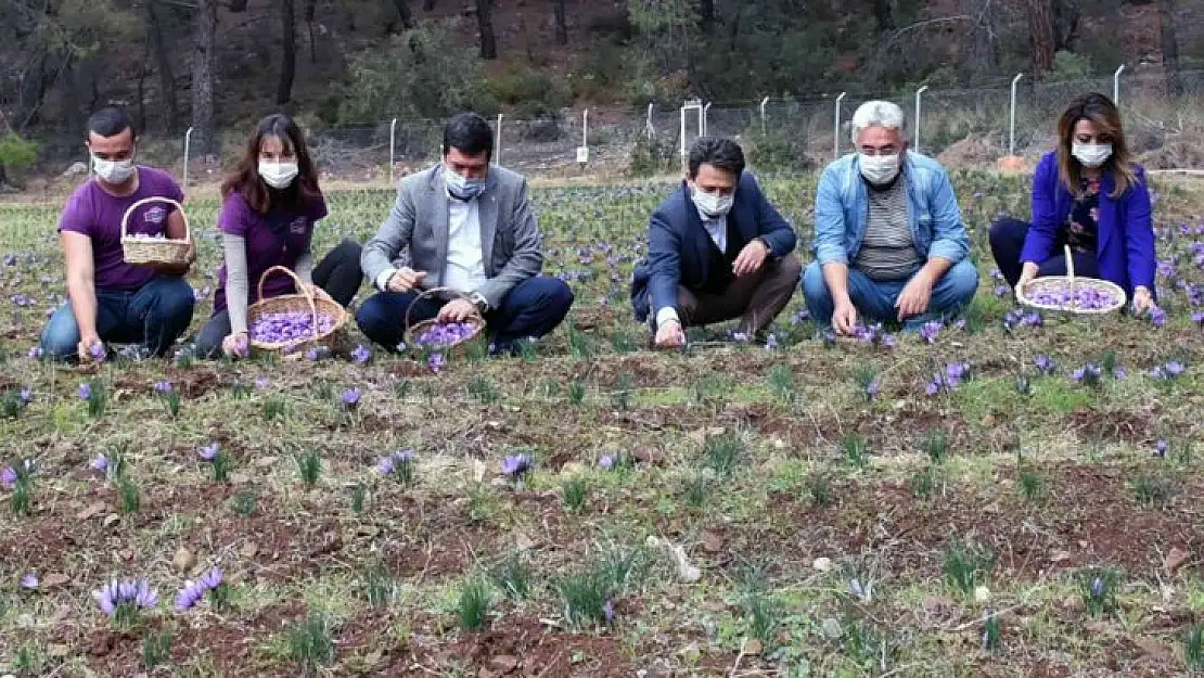 Endemik türlerden Muğla ekonomisine 62 milyon TL katkı