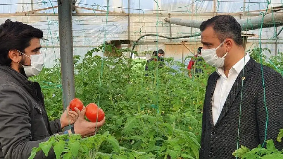 Erbay, Uçak krizi ihracatı olumsuz etkiledi