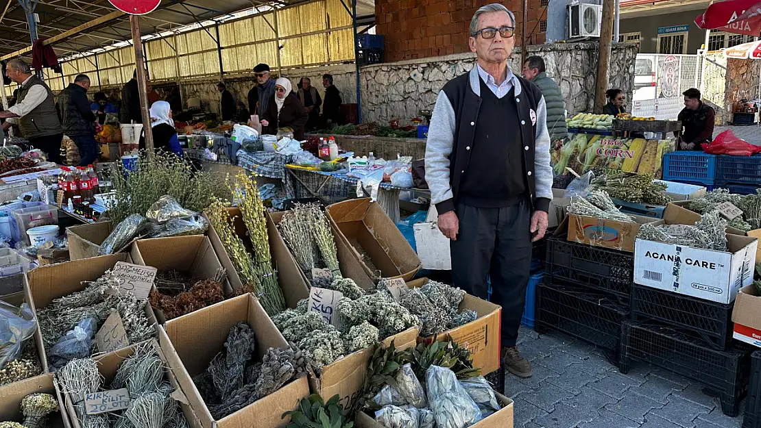 Fethiye Cuma Pazarı'nın Şifa Tezgahındaki Kekik, Adaçayı ve Doğal Yağların Faydaları