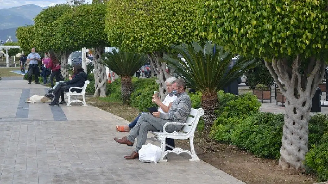 Parklar, Pazarlar Lokanta Oldu