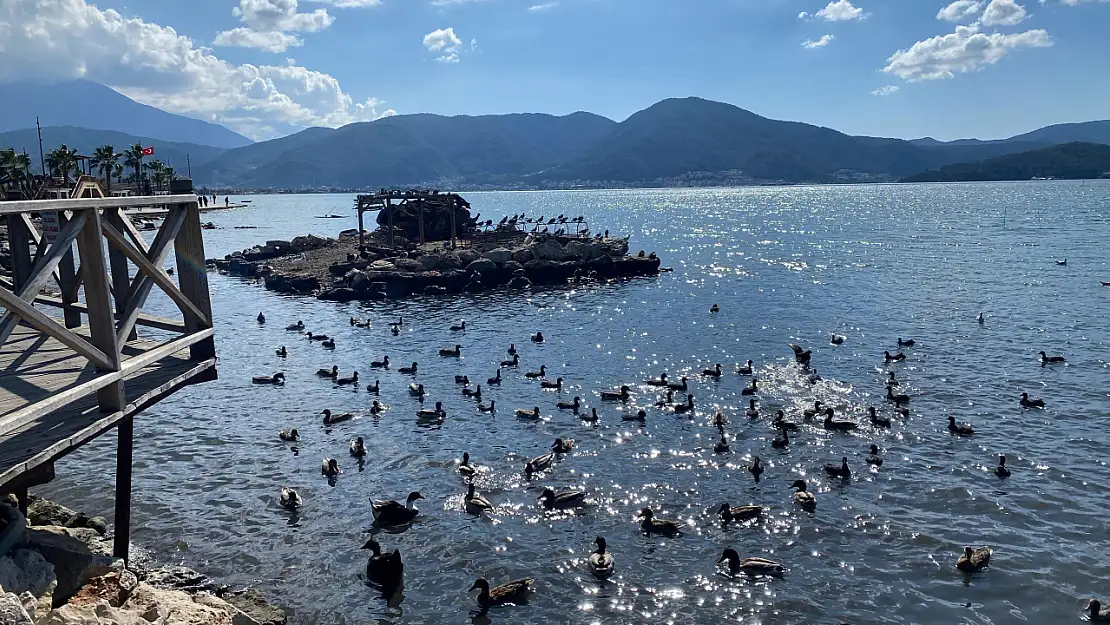 Fethiye'de denizin çekildiği Ördek Adası'nda deniz normale döndü