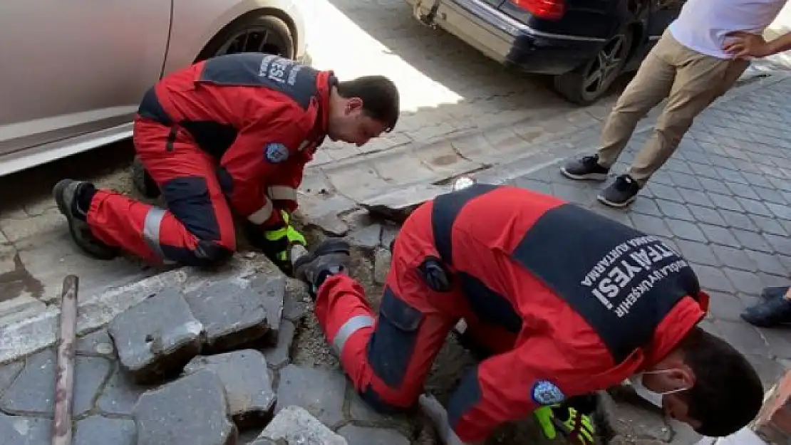 Fethiye'de itfaiye'den yavru kedi operasyonu