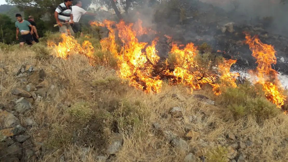 Fethiye'de orman yangını