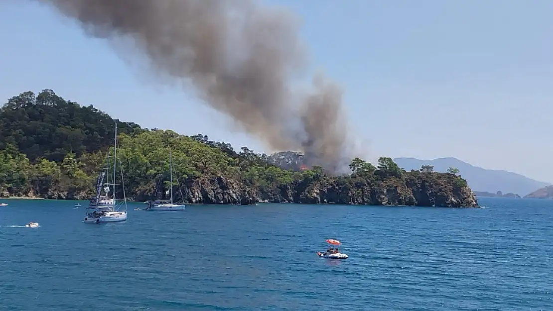 Fethiye'de orman yangını