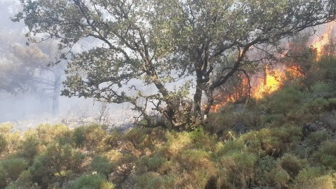 Fethiye'deki orman yangını büyümeden söndürüldü