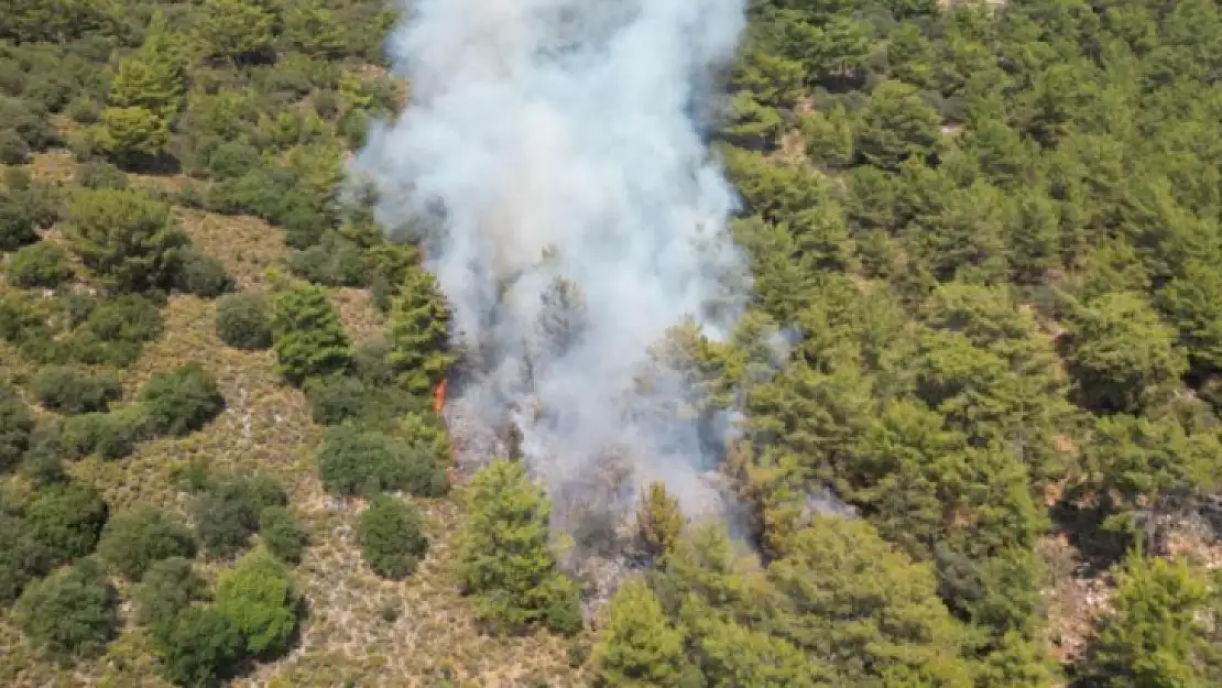 Fethiye'deki orman yangını kontrol altına alındı