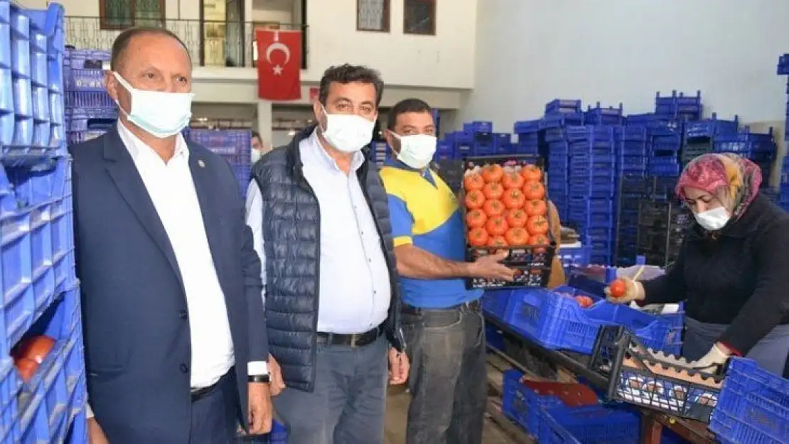 Fethiye Domatesi Kosova'ya gidiyor