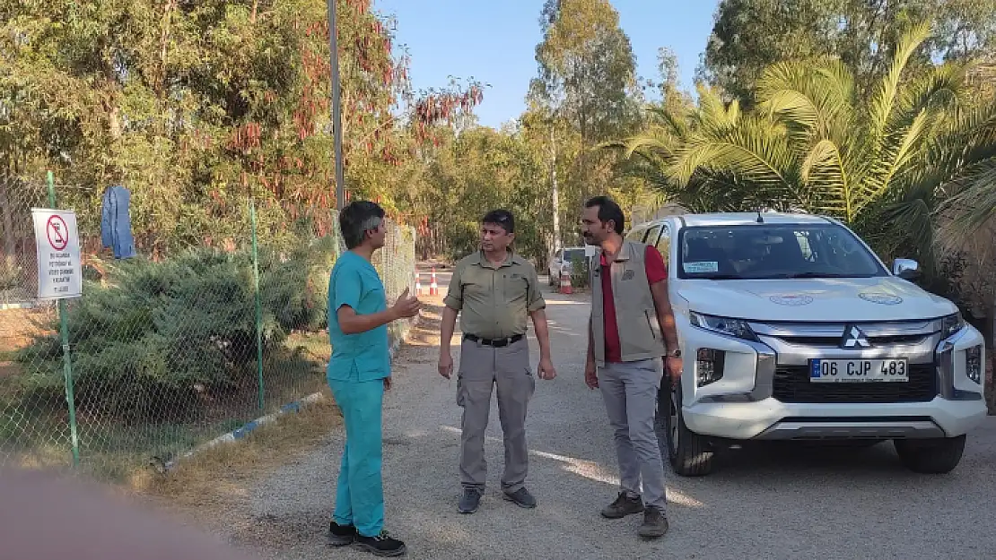FETHİYE GEÇİCİ HAYVAN BARINAĞI TARAFINDAN BASIN AÇIKLAMASI YAPILDI