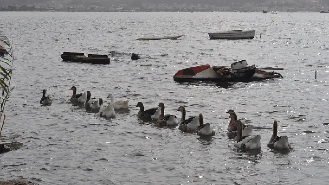 Fethiye Ördek Adası'nda Renkli Görüntüler