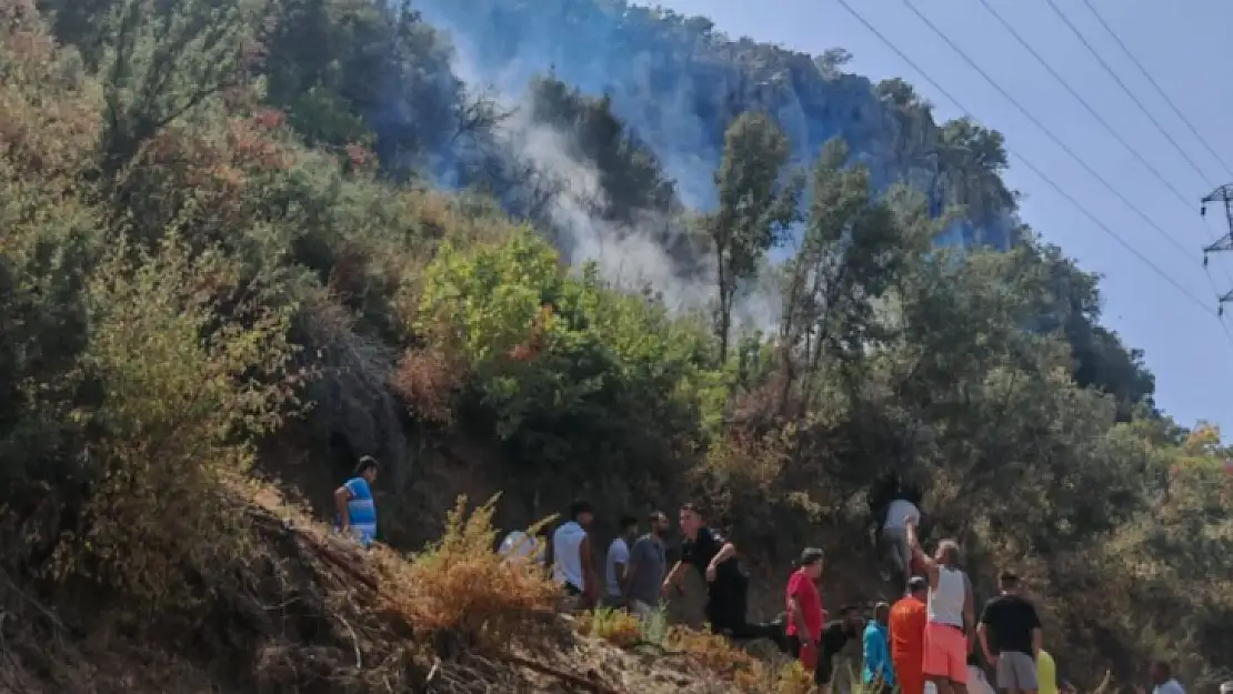 Fethiye Ovacık'ta korkutan orman yangını kontrol altında